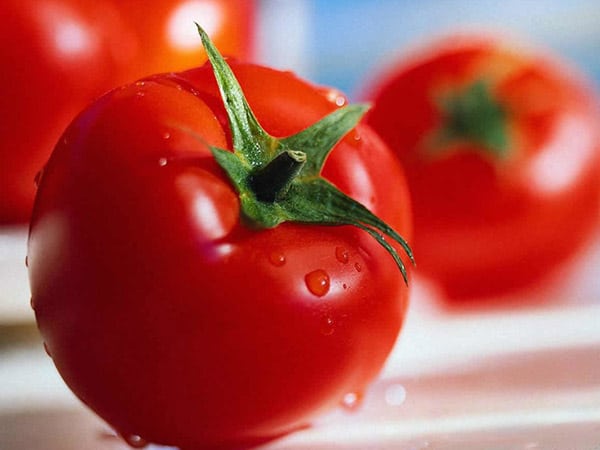 Conseguire-certificazione-igiene-alimentare-modena