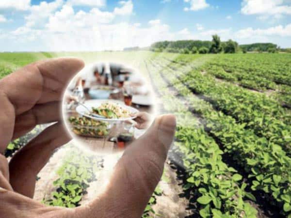 Consulenza-aziende-agricole-parma
